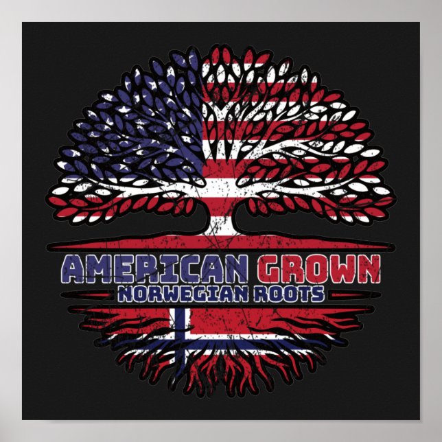 Norway Norwegian US American USA United States Poster (Front)