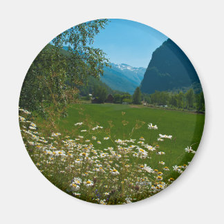 Norway spring flowers magnet