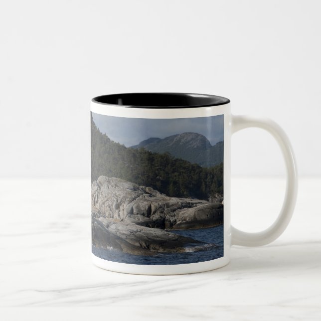 Norway, Stavanger. Views along Lysefjord. Two-Tone Coffee Mug (Right)