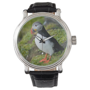 Norway, Svalbard Archipelago, Spitsbergen 9 Watch