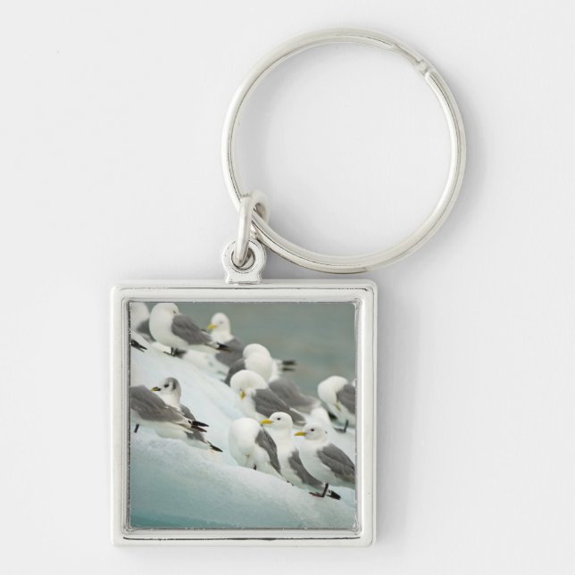 Norway, Svalbard Archipelago, Spitsbergen Key Ring (Front)