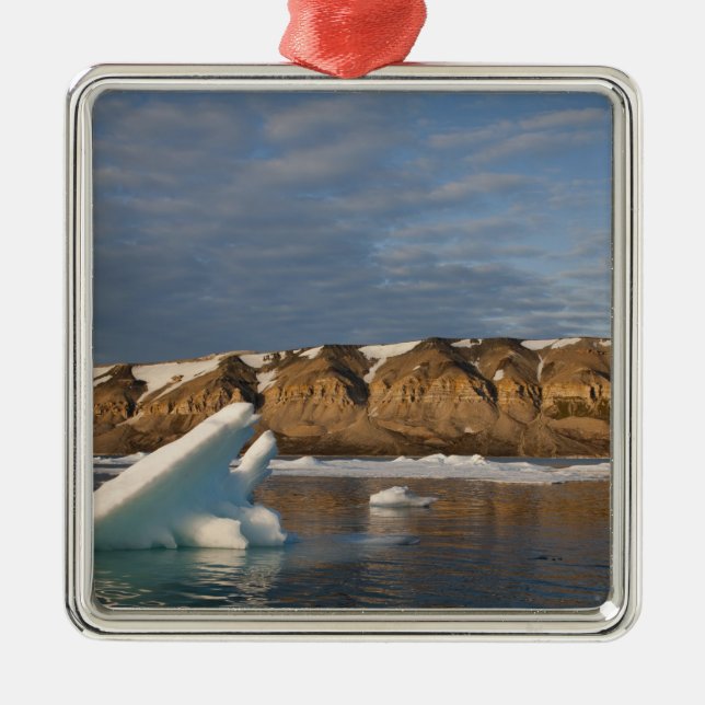 Norway, Svalbard, Spitsbergen Island, Setting Metal Tree Decoration (Front)