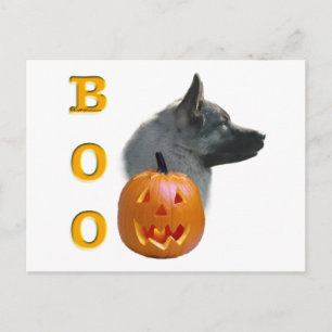 Norwegian Elkhound Boo Postcard