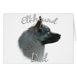 Norwegian Elkhound Dad 2