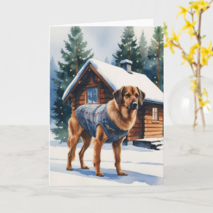 Norwegian Elkhound Dog Christmas Greeting Card