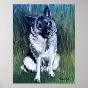 Norwegian Elkhound Dog Portrait Poster