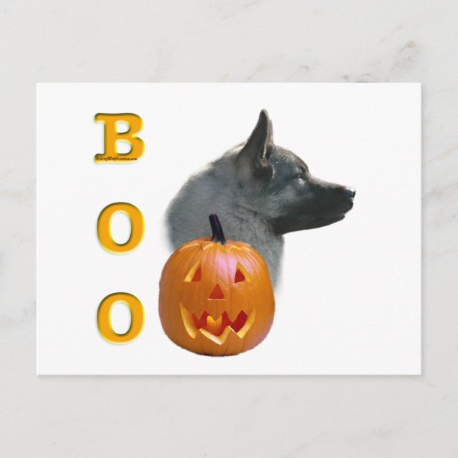 Norwegian Elkhound Halloween Boo Postcard (Front)
