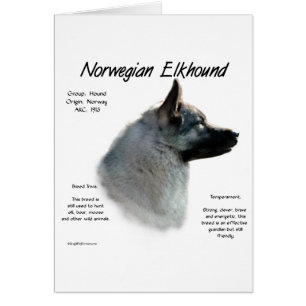 Norwegian Elkhound History Design
