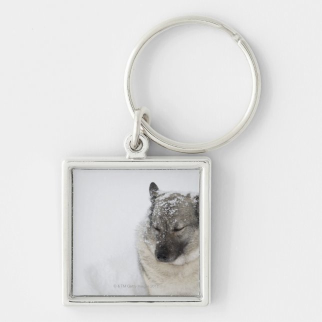 Norwegian Elkhound Key Ring (Front)