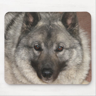 Norwegian Elkhound Mouse Mat