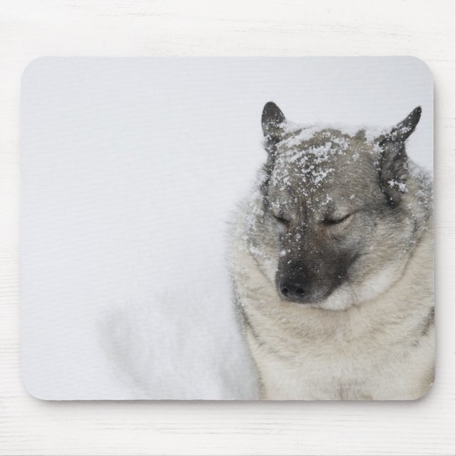 Norwegian Elkhound Mouse Mat (Front)