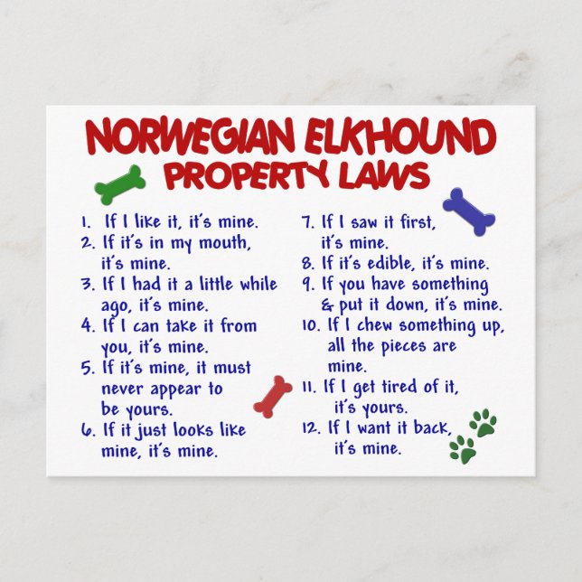 NORWEGIAN ELKHOUND Property Laws 2 Postcard (Front)