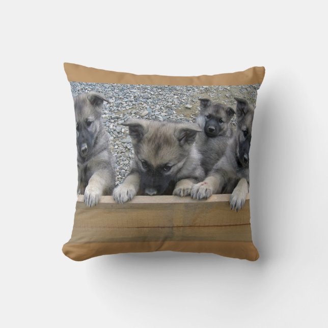 Norwegian Elkhound Puppies Cushion (Front)