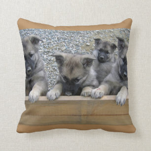 Norwegian Elkhound Puppies Cushion