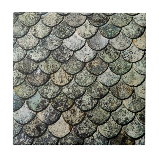 Norwegian Fish Scale Pattern Slate Roof Tile (Front)