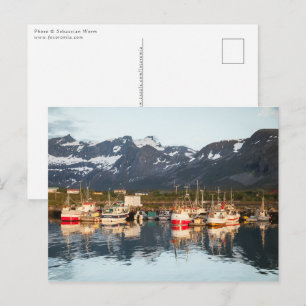 Norwegian Fishing Boats Postcard