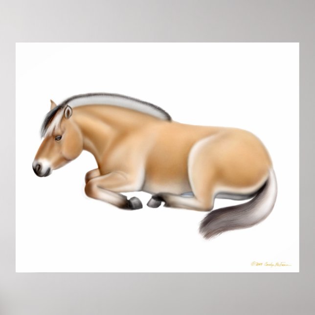 Norwegian Fjord Horse at Rest Print (Front)