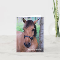 Norwegian Fjord Horse Greeting card