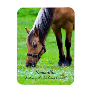 Norwegian Fjord Horse Magnet