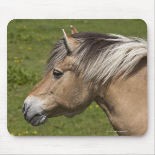 Norwegian Fjord Horse Mouse Mat