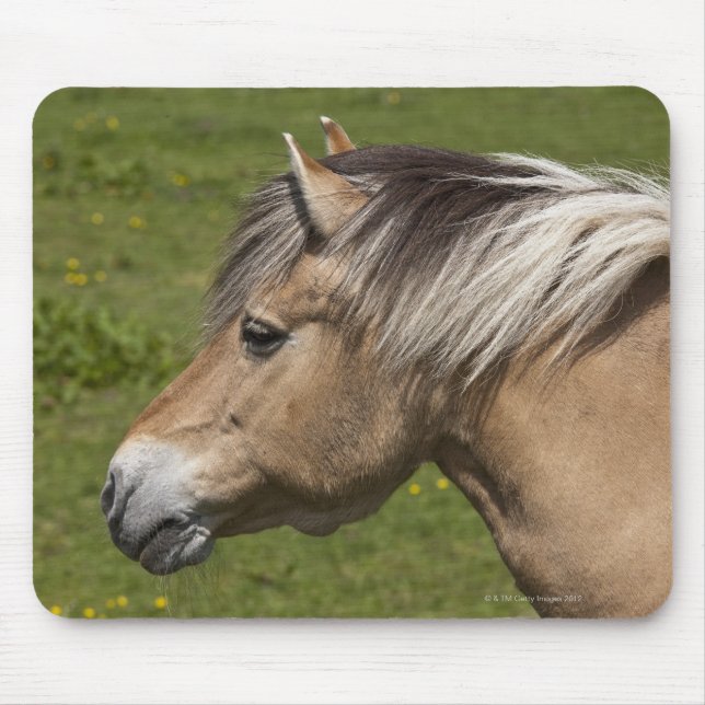 Norwegian Fjord Horse Mouse Mat (Front)