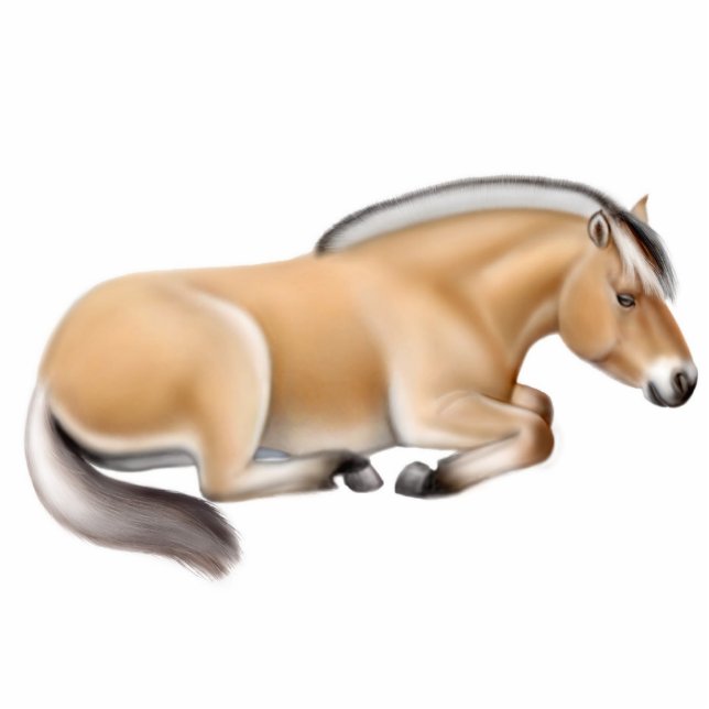 Norwegian Fjord Horse Ornament Photo Sculpture Decoration (Front)