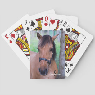 Norwegian Fjord Horse Playing cards