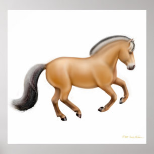 Norwegian Fjord Horse Print