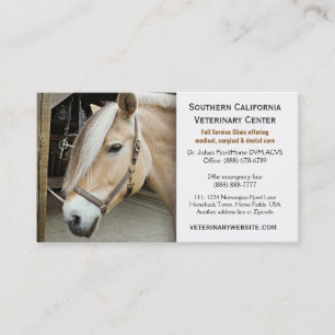 Norwegian Fjord Horse Veterinarian Vet Clinic Business Card