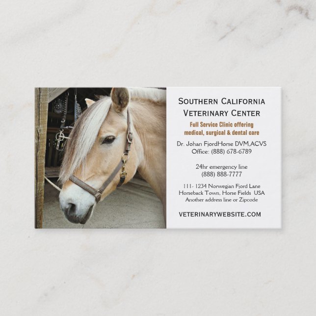 Norwegian Fjord Horse Veterinarian Vet Clinic Business Card (Front)