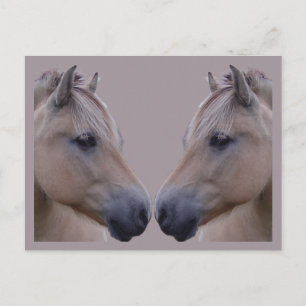 Norwegian Fjord Postcard