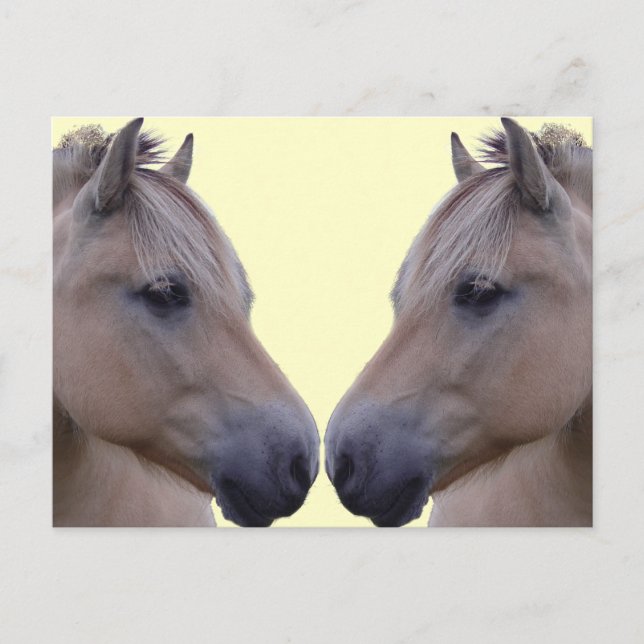 Norwegian Fjord Postcard (Front)