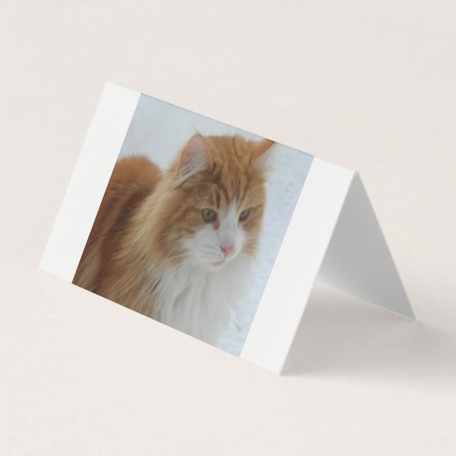 Norwegian_Forest_Cat Business Card (Front)