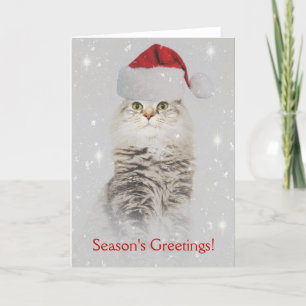 Norwegian Forest Cat Christmas Card