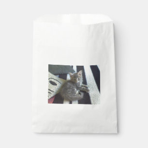 norwegian forest cat grey tabby kitten favour bags