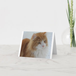 Norwegian_Forest_Cat Holiday Card