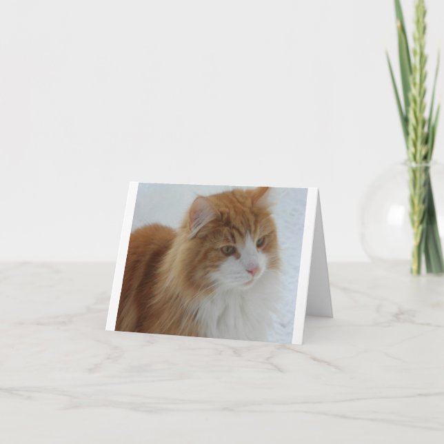 Norwegian_Forest_Cat Holiday Card (Front)