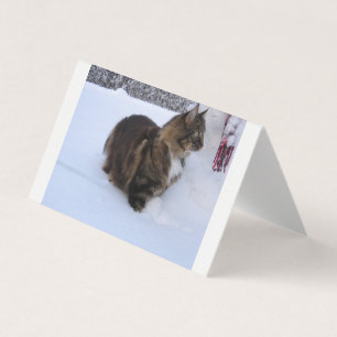 norwegian forest cat in snow business card