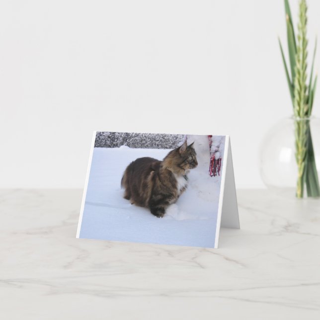 norwegian forest cat in snow card (Front)