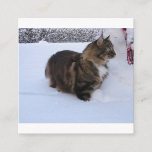 norwegian forest cat in snow enclosure card