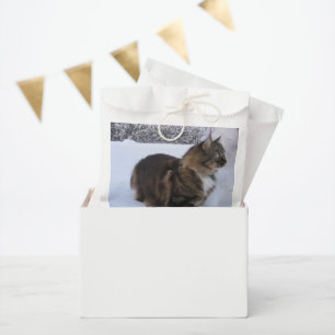 norwegian forest cat in snow favour bags