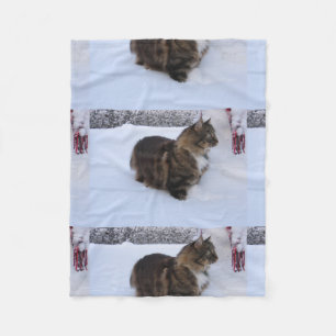 norwegian forest cat in snow fleece blanket
