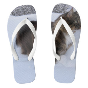 norwegian forest cat in snow flip flops