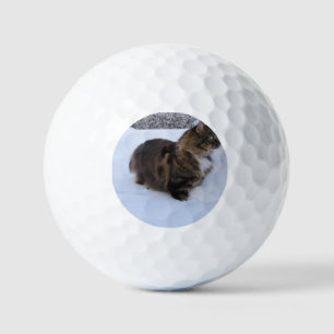 norwegian forest cat in snow golf balls