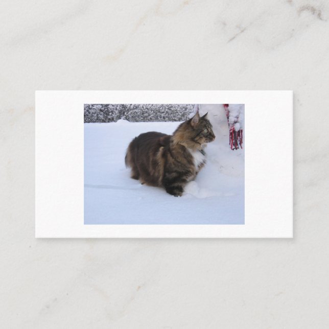 norwegian forest cat in snow loyalty card (Front)
