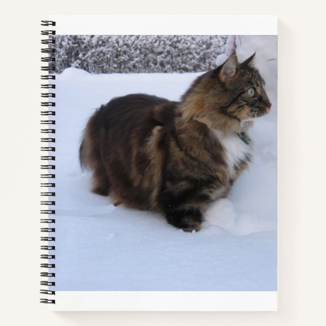 norwegian forest cat in snow notebook (Front)
