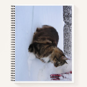 norwegian forest cat in snow notebook