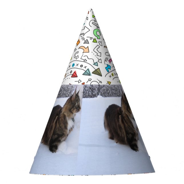 norwegian forest cat in snow party hat (Front)