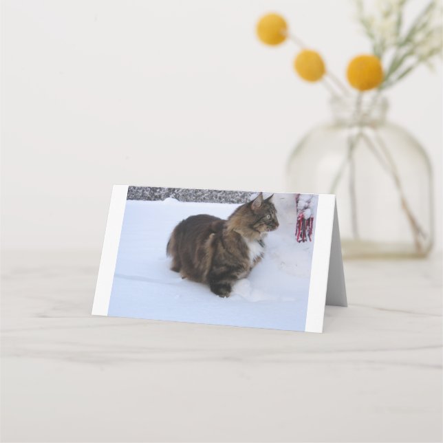 Norwegian Forest Cat in snow Place Card (Front)