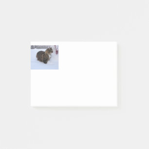 norwegian forest cat in snow post-it notes